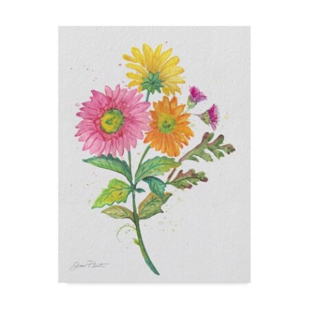 Trademark Fine Art Jean Plout 'Watercolor Flowers 4' Canvas Art, 35x47 ALI37592-C3547GG